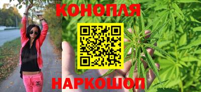 шишки Дубна