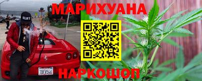 шишки Дубна
