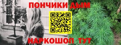 шишки Дубна