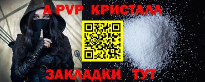 шишки Дубна