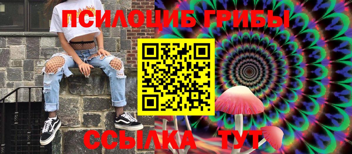 Псилоцибиновые грибы Psilocybine cubensis  Псилоцибиновые грибы GOLDEN TEACHER  Можга  Вход с VPN 