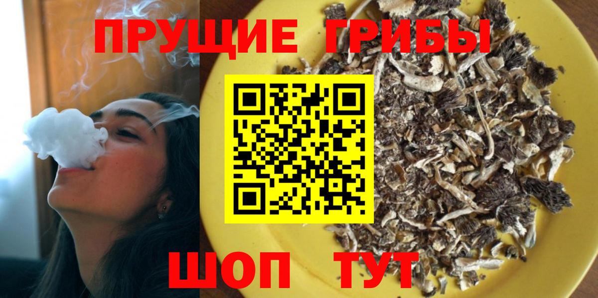 Галлюциногенные грибы ЛСД Можга